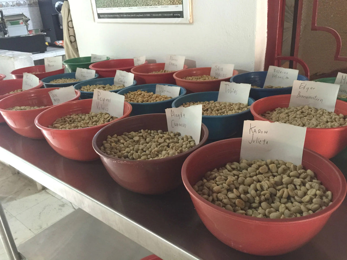 Dawn Patrol — House Blend