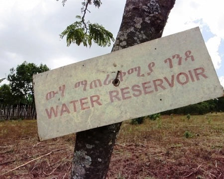 Ethiopia Gedeb — Bedhatu Jibicho